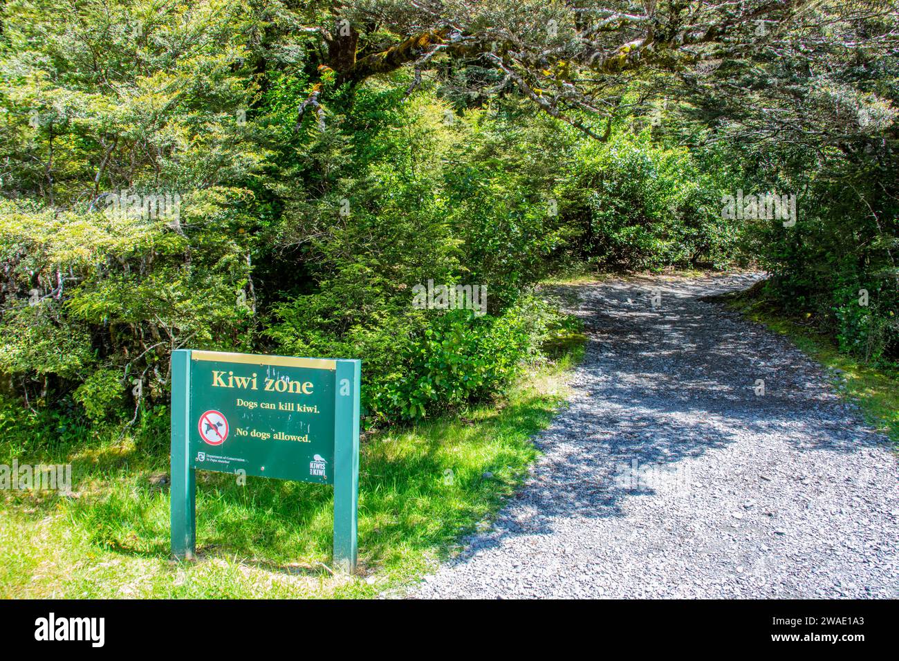 christchurch nuova Zelanda 12 dicembre 2023: Il cartello di avvertimento nel Parco Nazionale Arthur's Pass per ricordare ai turisti che questa è la Kiwi zone, non sono ammessi cani Foto Stock