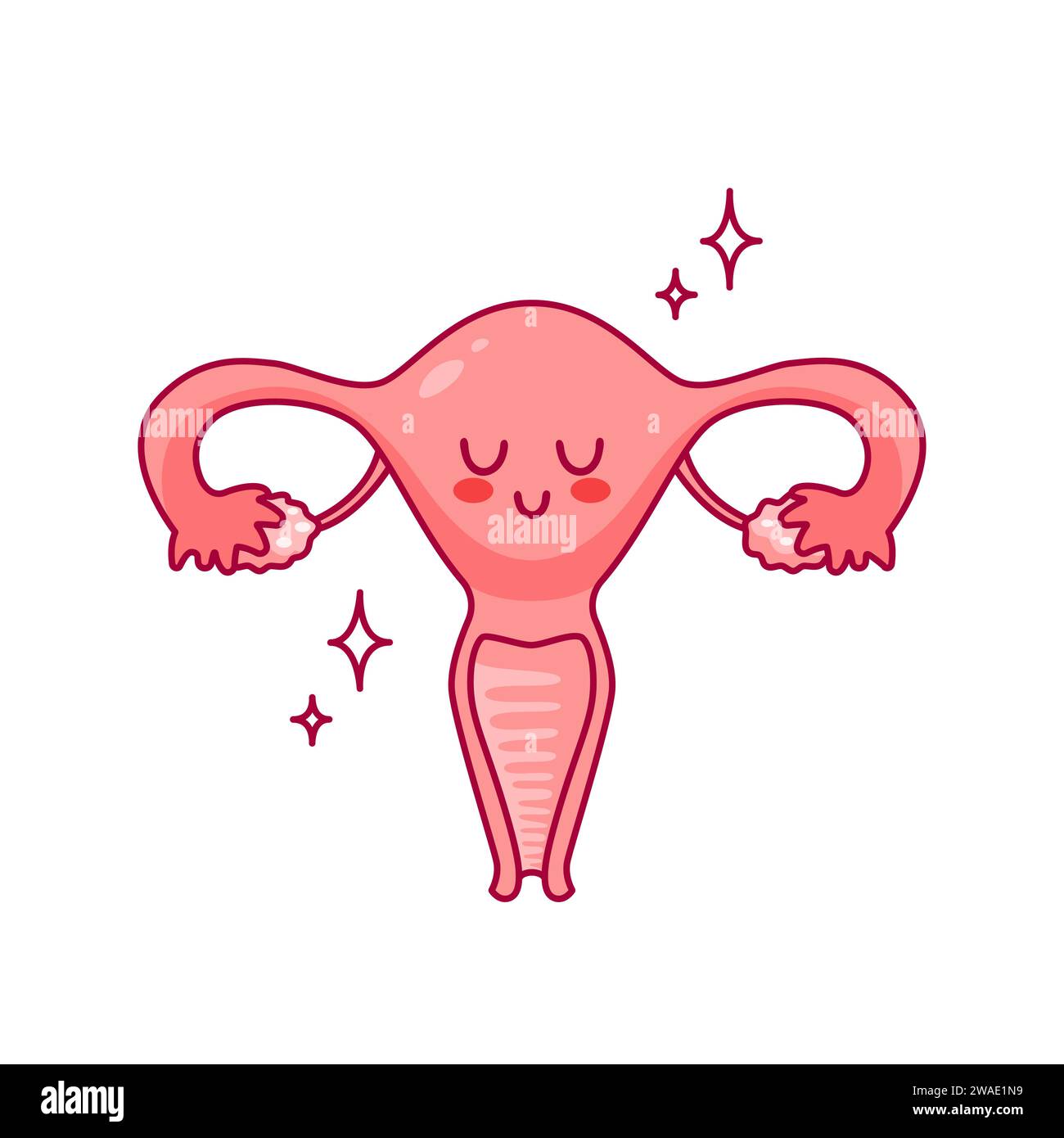 Utero. Simpatico personaggio dei cartoni animati in stile kawaii. Organo sano, mestruazioni. Salute delle donne. Sistema riproduttivo femminile, ciclo. anatomia, cervice, ovaie Illustrazione Vettoriale