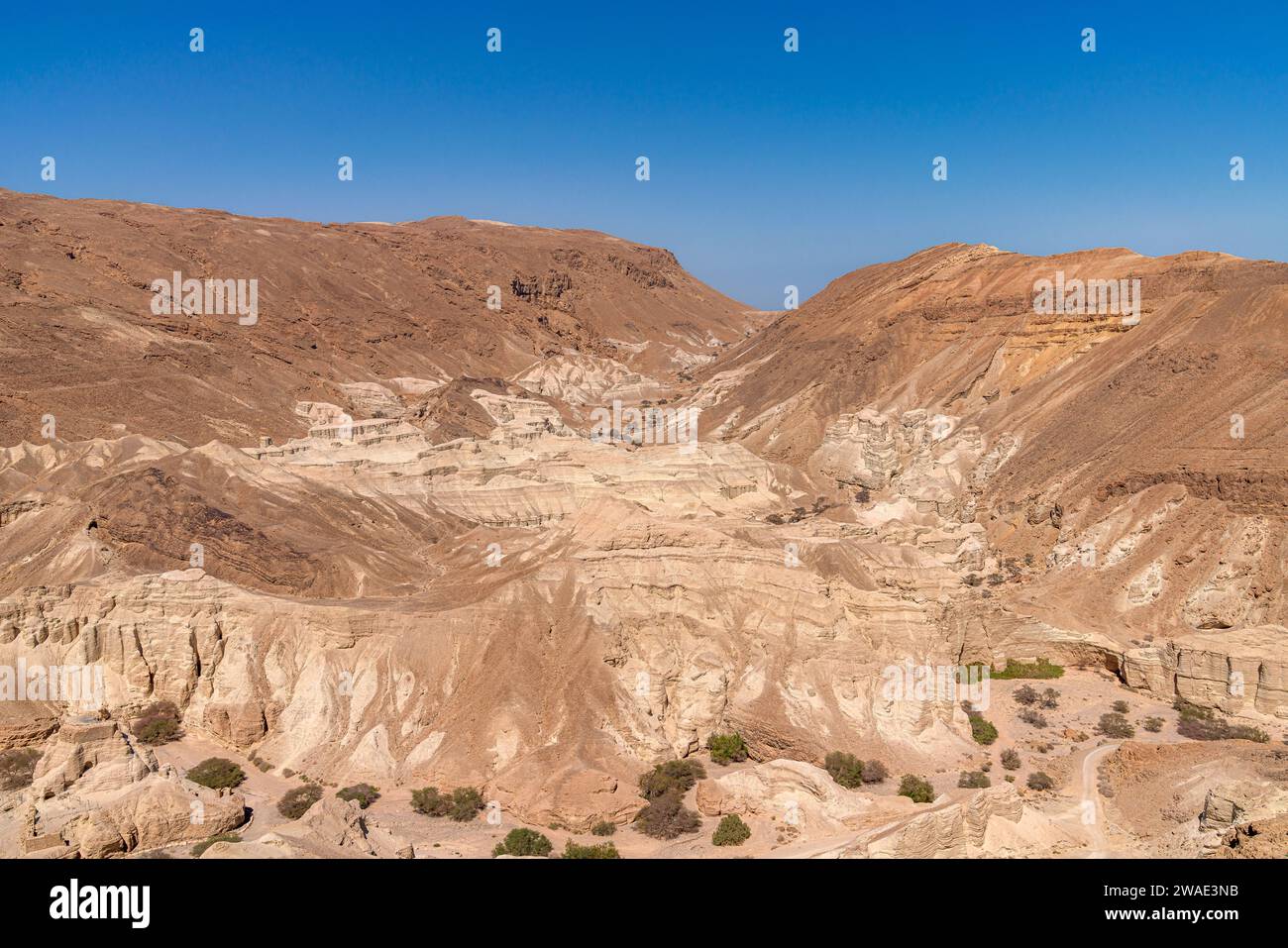 Vista panoramica di un paesaggio asciutto, ruscello Zohar nel deserto della Giudea, Israele Foto Stock