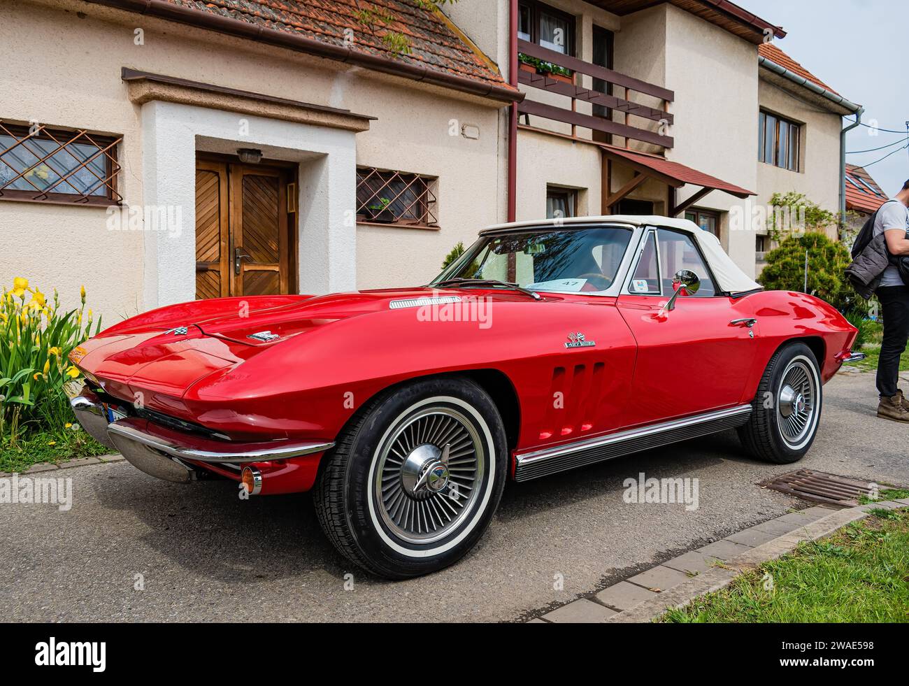 Evento di beneficenza Americ a n Cars tra le cantine dei vini Red Chevrolet Corvette del 1966, un'iconica e antica per i più esigenti Foto Stock