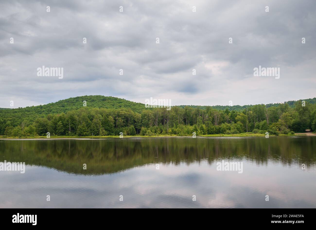 Chapman State Park a Pleasant Township, Warren County, Pennsylvania, Stati Uniti Foto Stock