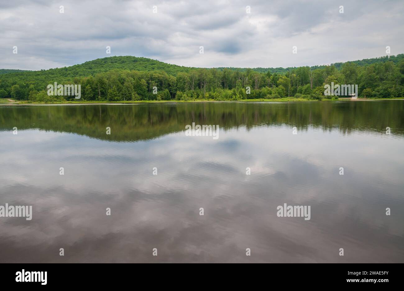 Chapman State Park a Pleasant Township, Warren County, Pennsylvania, Stati Uniti Foto Stock