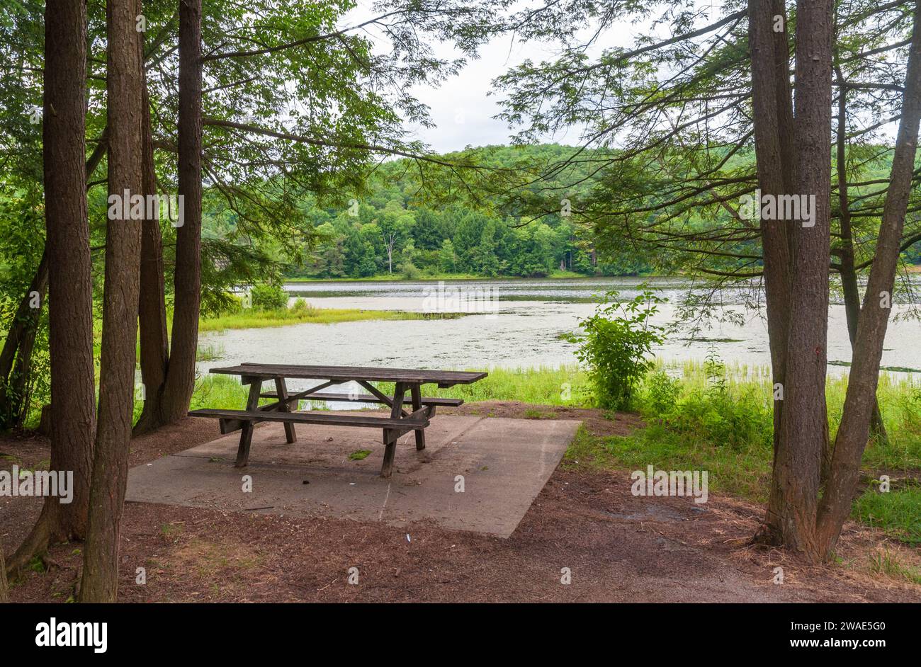 Chapman State Park a Pleasant Township, Warren County, Pennsylvania, Stati Uniti Foto Stock