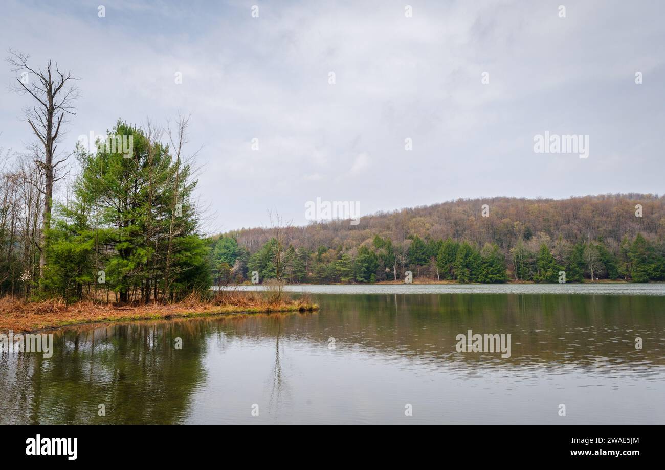 Chapman State Park a Pleasant Township, Warren County, Pennsylvania, Stati Uniti Foto Stock