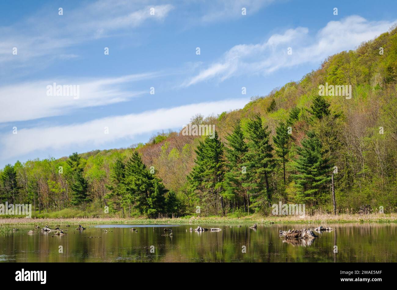 Lago Chandlers Valley e Wetlands nella contea di Warren, in Pennsylvania Foto Stock