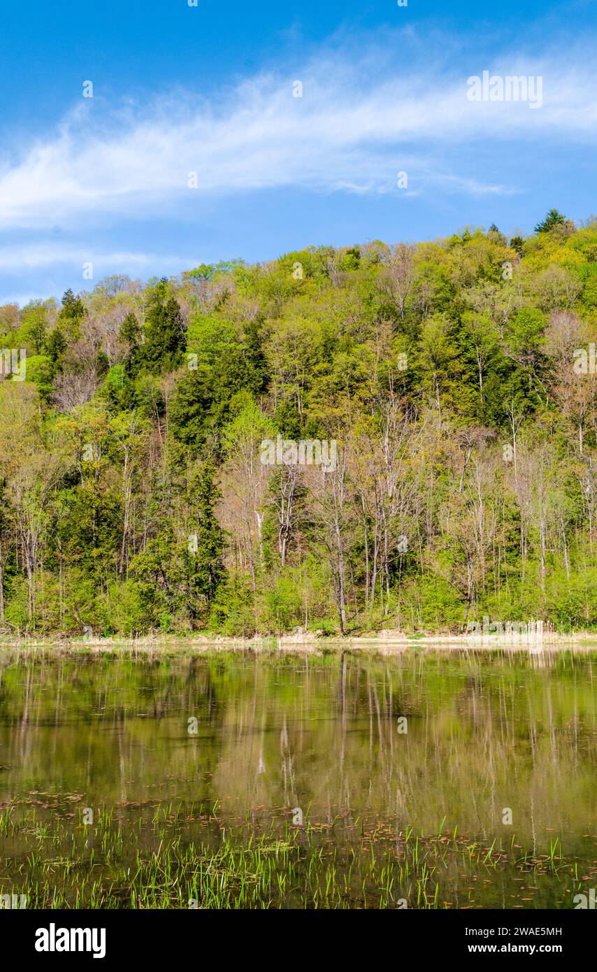 Lago Chandlers Valley e Wetlands nella contea di Warren, in Pennsylvania Foto Stock