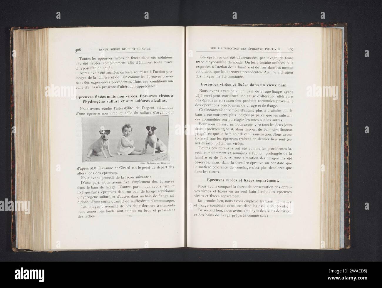 Ritratto di un bambino sconosciuto con due cani, Frédéric Boissonnas, c. 1897 - in o prima del 1902 carta fotomeccanica bambino. cane Foto Stock