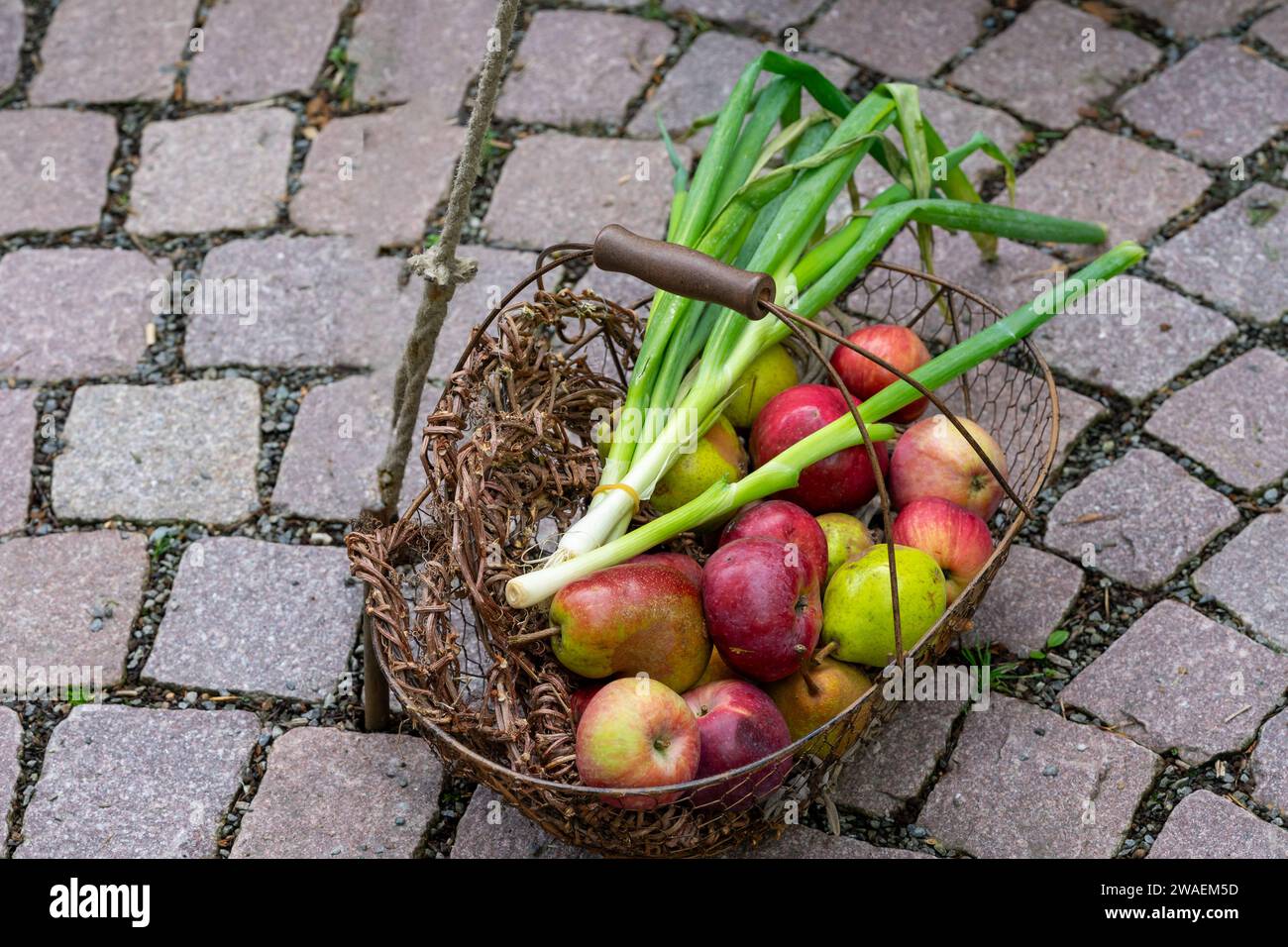 cestino di mele e verdure Foto Stock