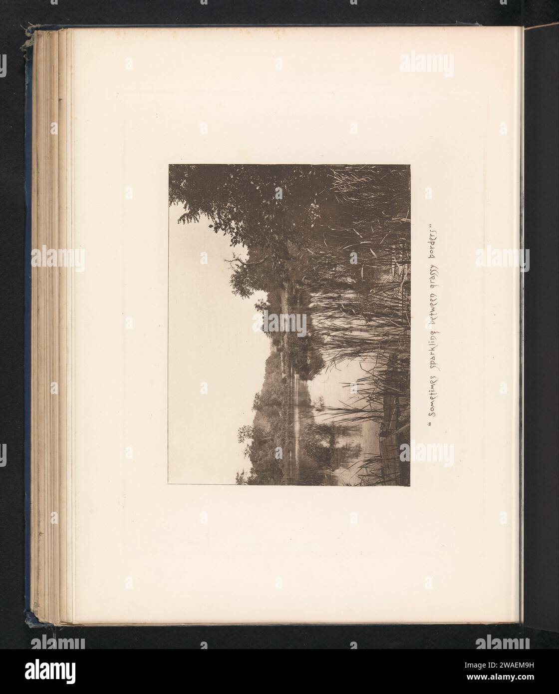 Vista su una piscina vicino a Sleepy Hollow, J.L. Williams, c. 1882 - in o prima del 1887 stampa fotomeccanica New YorkNew York (città), laghetto di carta, piscina Foto Stock