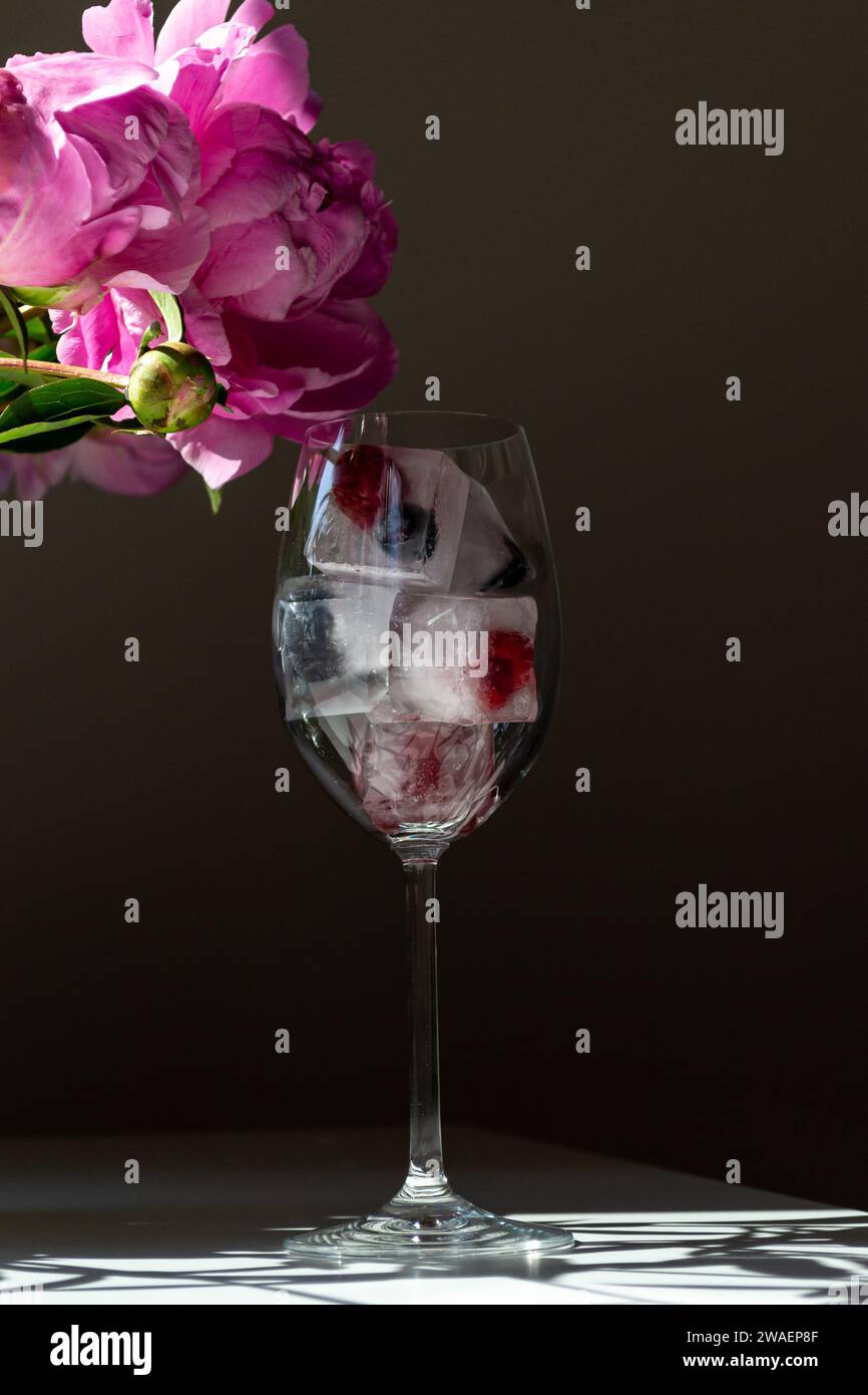 Cubetti di ghiaccio congelati con frutta in un bicchiere di vino Foto Stock