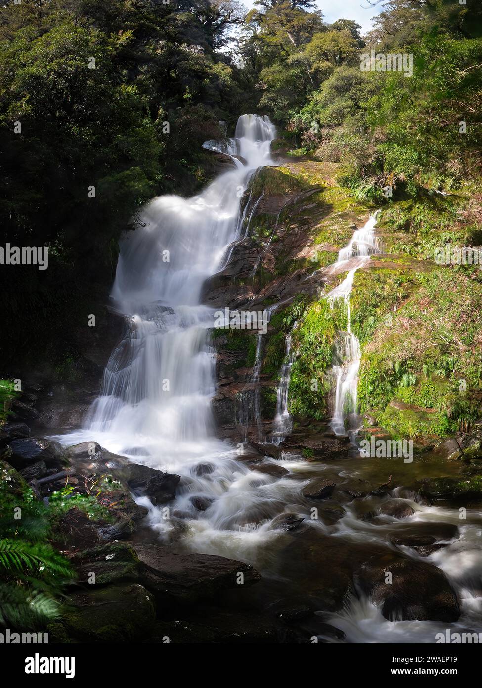 Un paesaggio mozzafiato caratterizzato da una serena cascata che scende in una lussureggiante foresta verde. Foto Stock