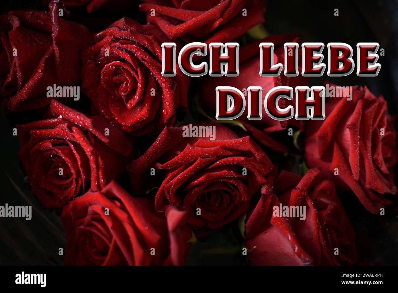 ICH liebe Dich, tedesco perché ti amo. Sfondo natalizio di rose rosse con gocce d'acqua sui petali Foto Stock