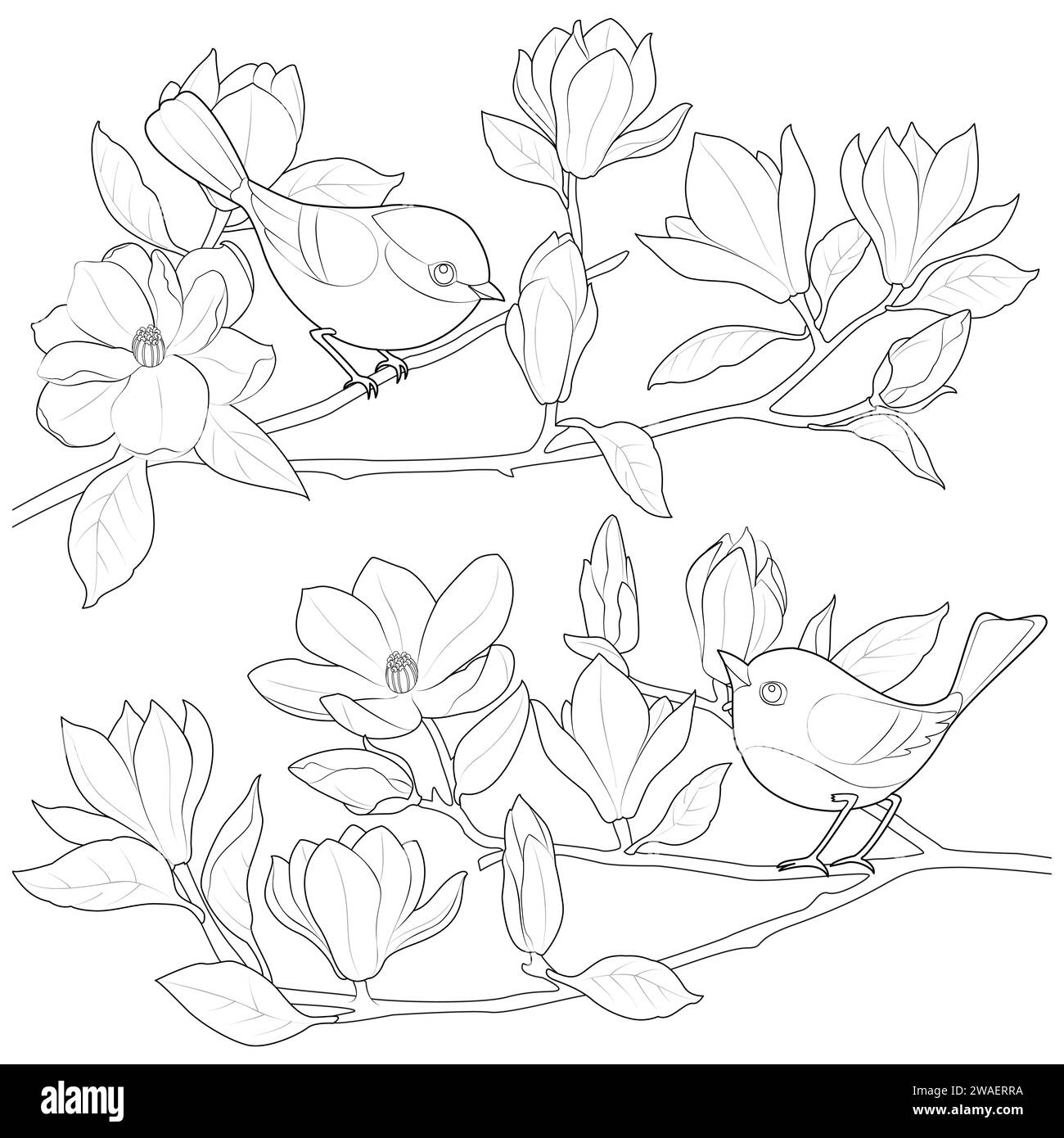 Uccelli su un ramo di magnolia. Bianco e nero. Pagina di colorazione Art Therapy per bambini e adulti. Pagina per il relax e la meditazione. Illustrazione del contorno vettoriale. Illustrazione Vettoriale