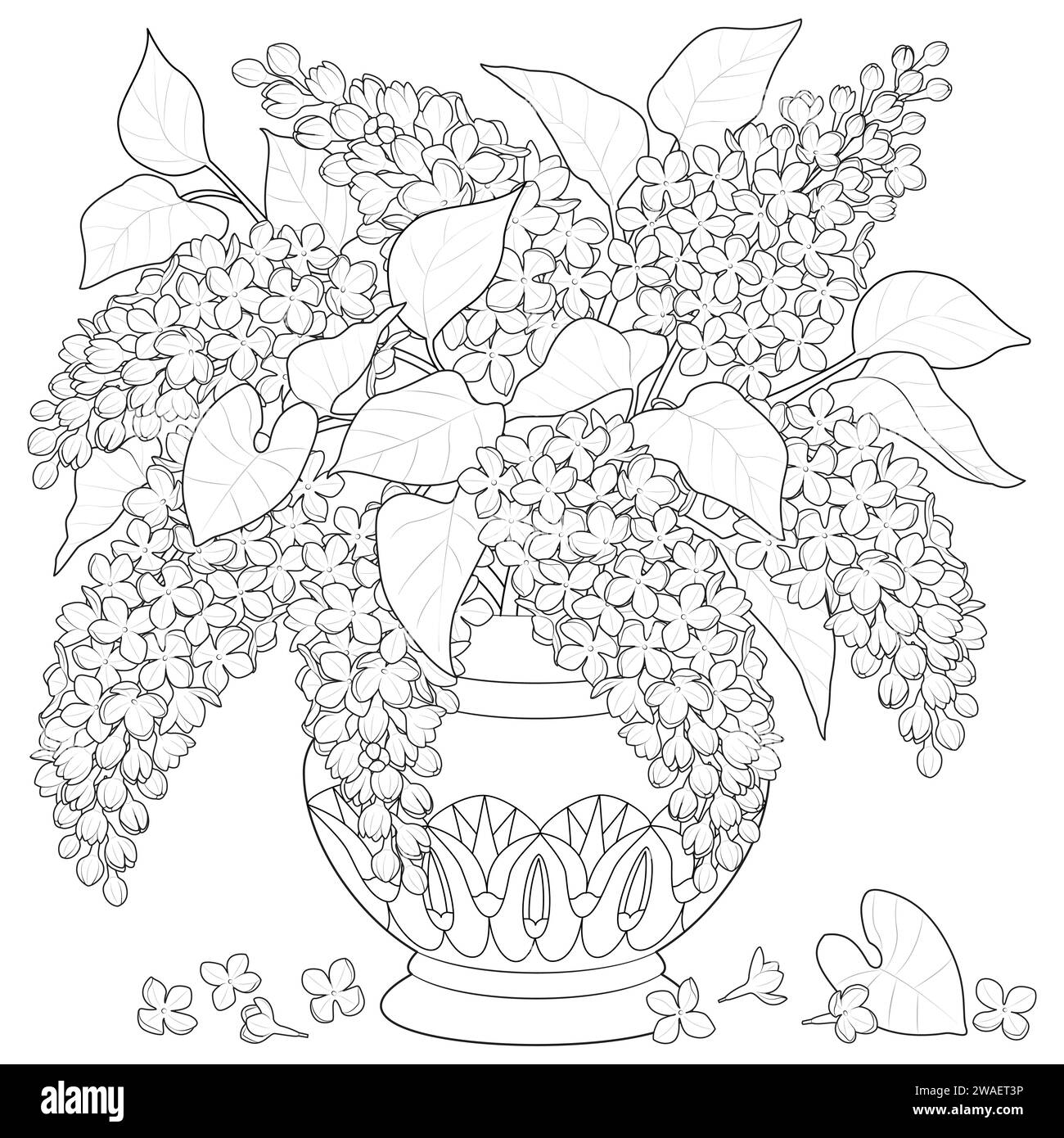 Bouquet di lilaci in un vaso con ornamento. Bianco e nero. Pagina colori Art Therapy. Illustrazione vettoriale Illustrazione Vettoriale