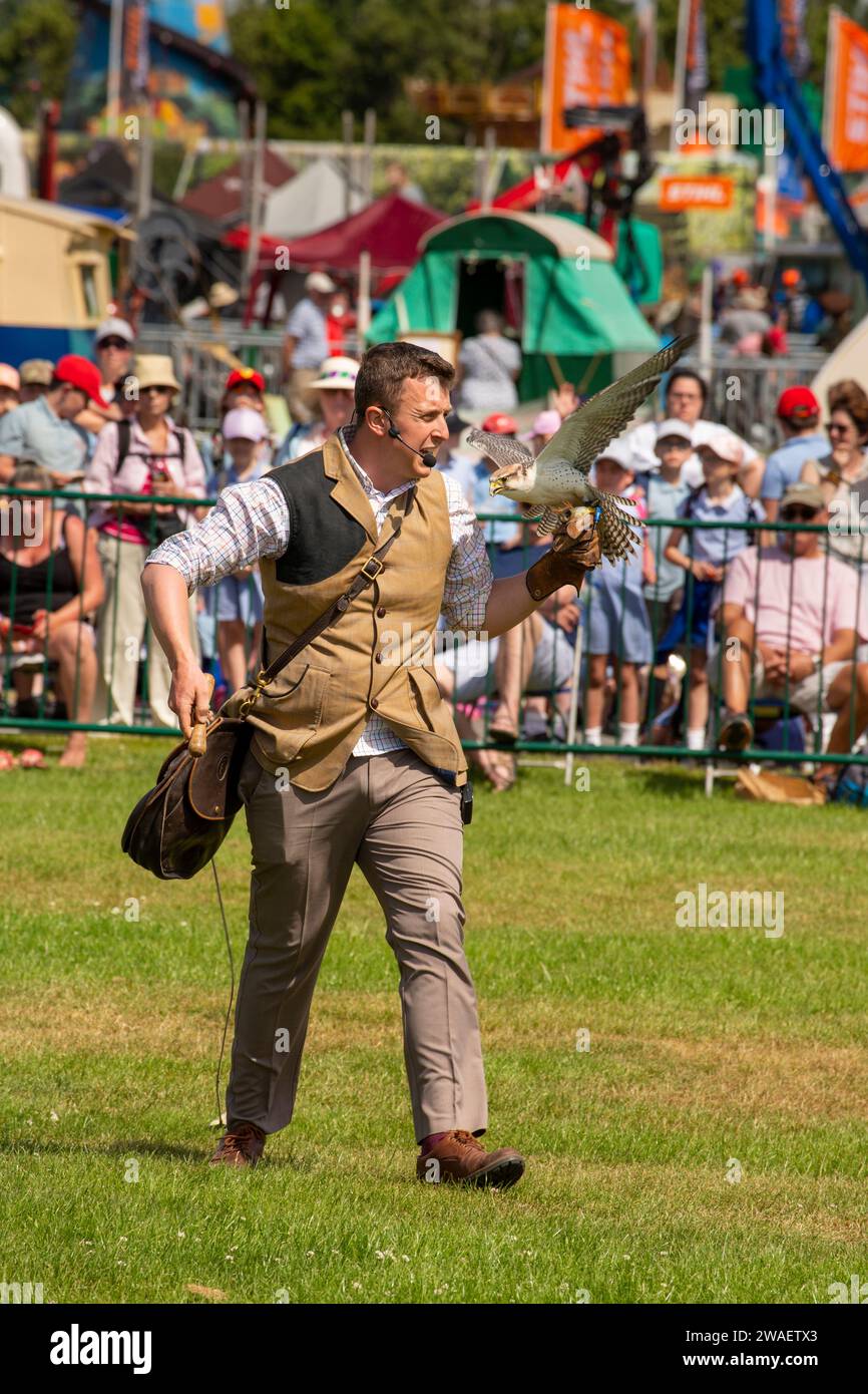 Regno Unito, Inghilterra, Worcestershire, Malvern Wells, Royal 3 Counties Show, Alastair Leese di Hawkeye Falconry che dà spettacolo di volo Foto Stock