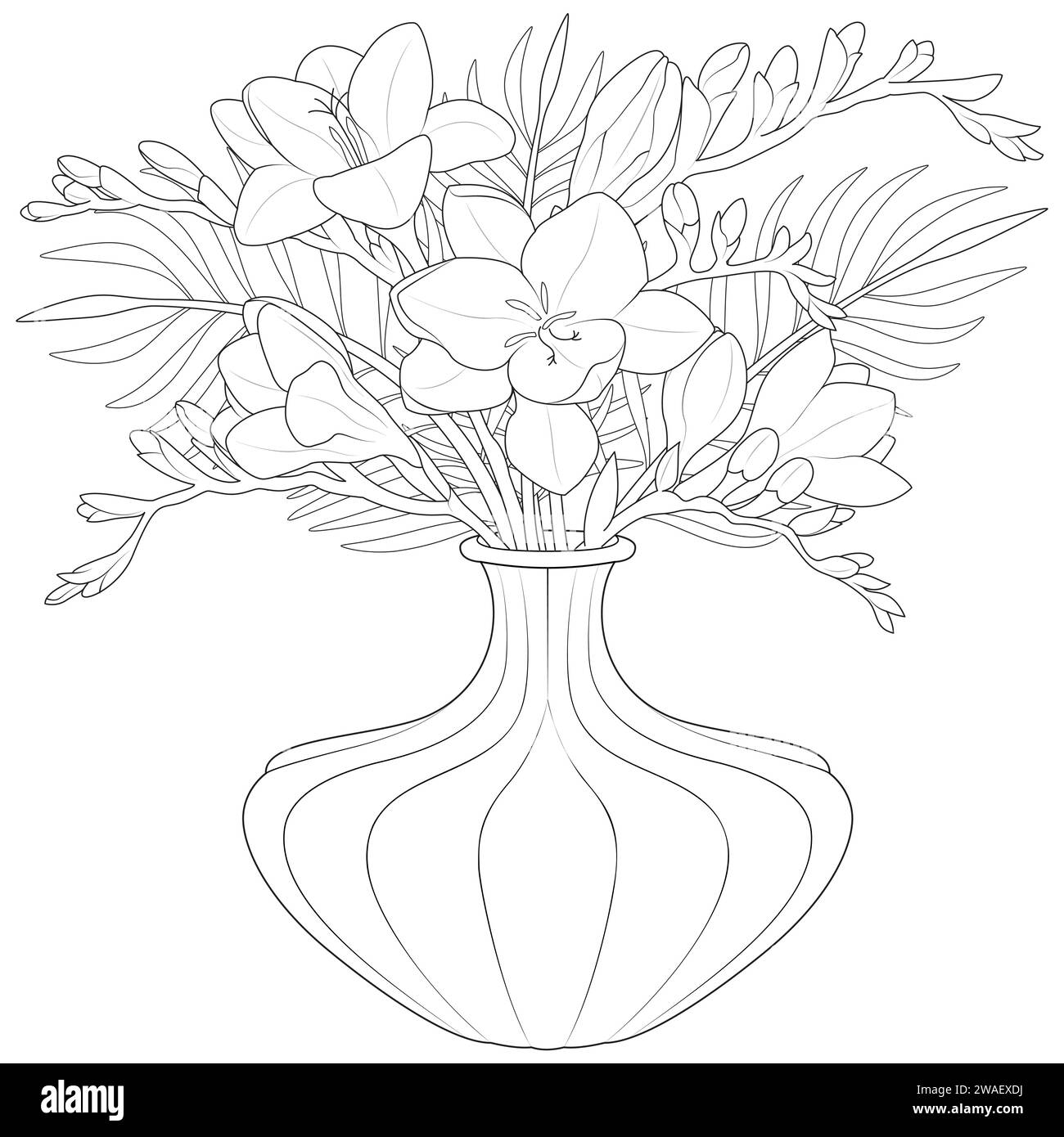 Vaso di freesia vettore di fiori. Bouquet in vaso. Pagina da colorare per bambini e adulti. Illustrazione vettoriale Illustrazione Vettoriale