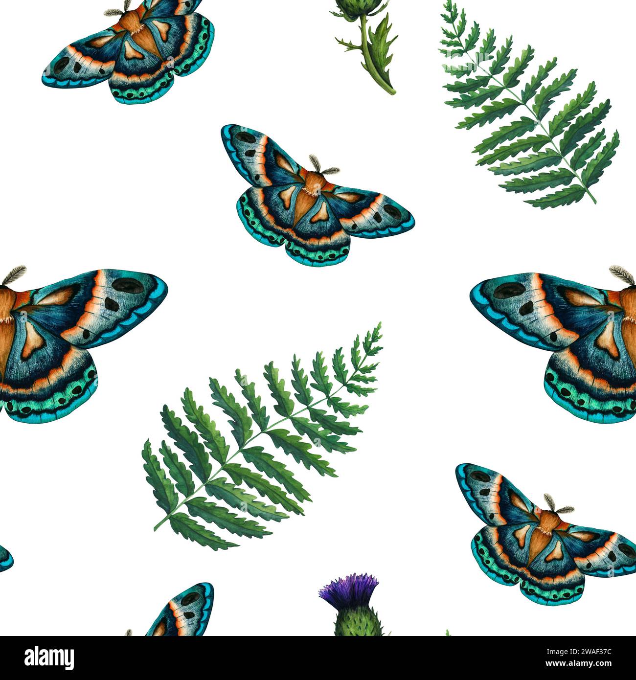 Acquerello motivo senza cuciture, falena verde blu e felce su sfondo bianco. Illustrazione dipinta a mano farfalla notturna imperiale. Insetto per la progettazione di Foto Stock
