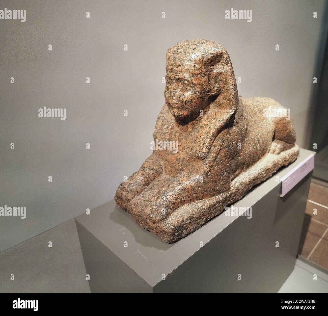 TORINO, ITALIA - DICEMBRE 2022 CIRCA: Statua della Sfinge al Museo Egizio di traduzione Museo Egizio Foto Stock