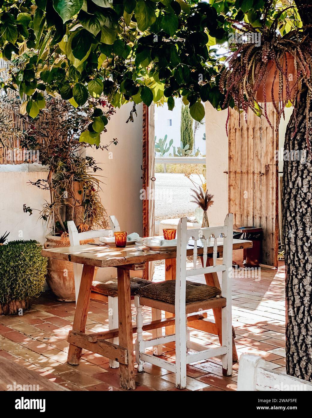 Un ambiente per pranzare all'aperto situato sotto un lussureggiante albero verde Foto Stock