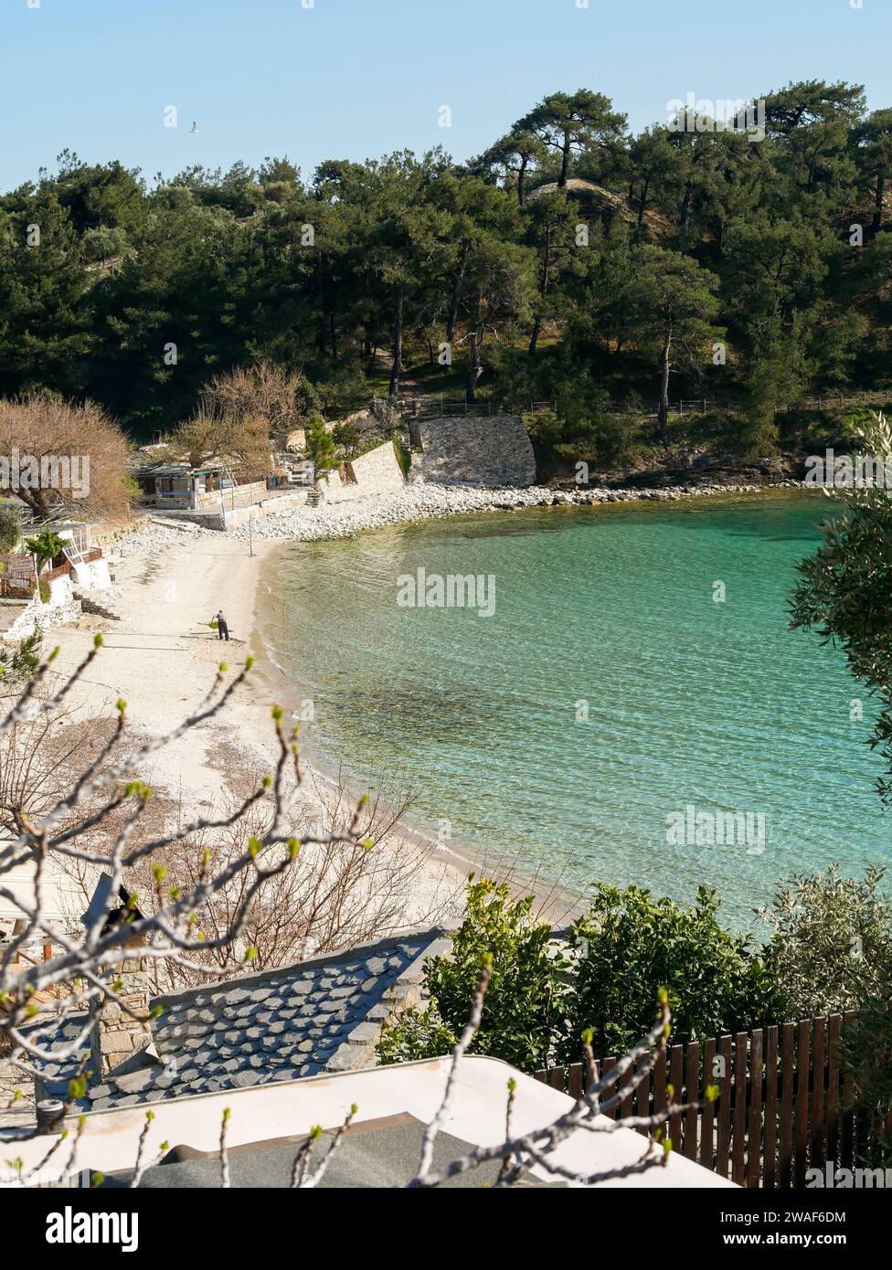 Isola di Thasos, spiaggia, Alyki, marmo, Grecia, mare blu, verde, alberi Foto Stock