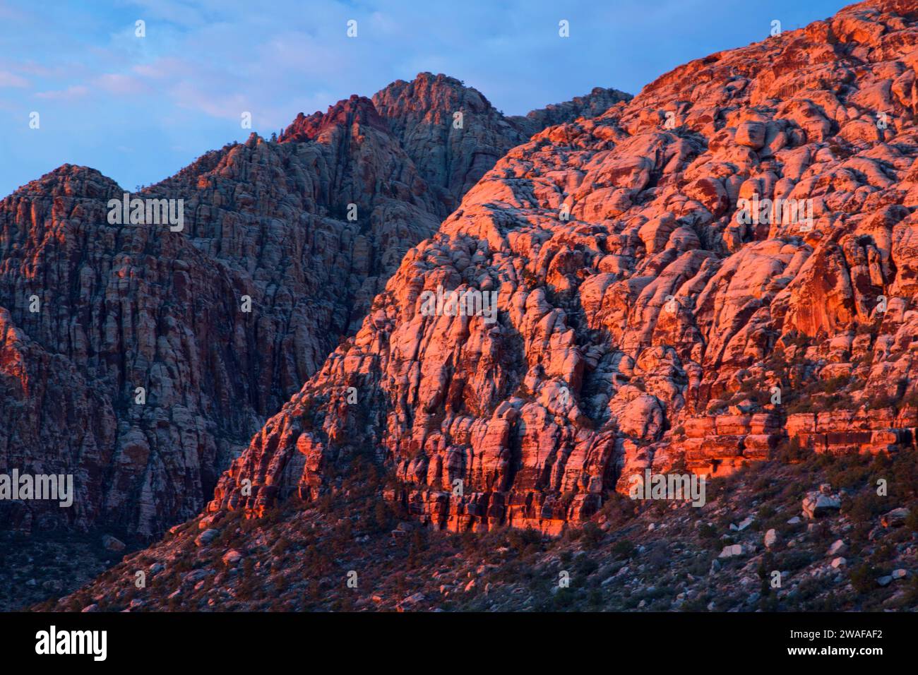 Sandstone Bluffs a Willow Spring / Lost Creek, Red Rock Canyon National Conservation area, Nevada Foto Stock