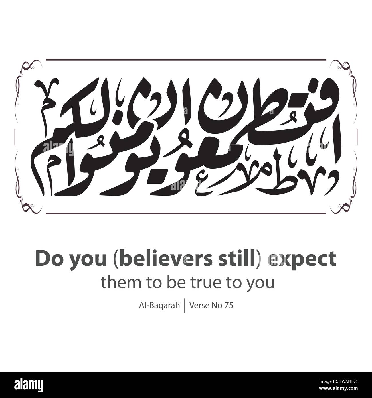 Calligrafia di Believe, tradotto in inglese come, voi credenti vi aspettate ancora che siano fedeli a voi, versetto No 75 da al-Baqarah Illustrazione Vettoriale