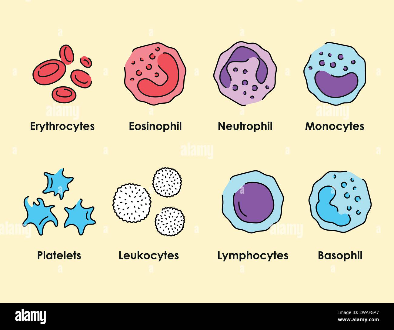 Set di icone colore cellule ematiche. Globuli bianchi, eritrociti, piastrine nei vasi sanguigni. Illustrazione vettoriale isolata. Illustrazione Vettoriale