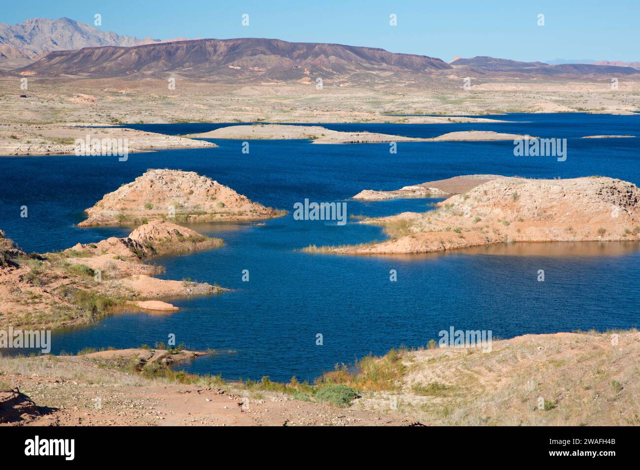 Il lago Mead, Lake Mead National Recreation Area, Nevada Foto Stock