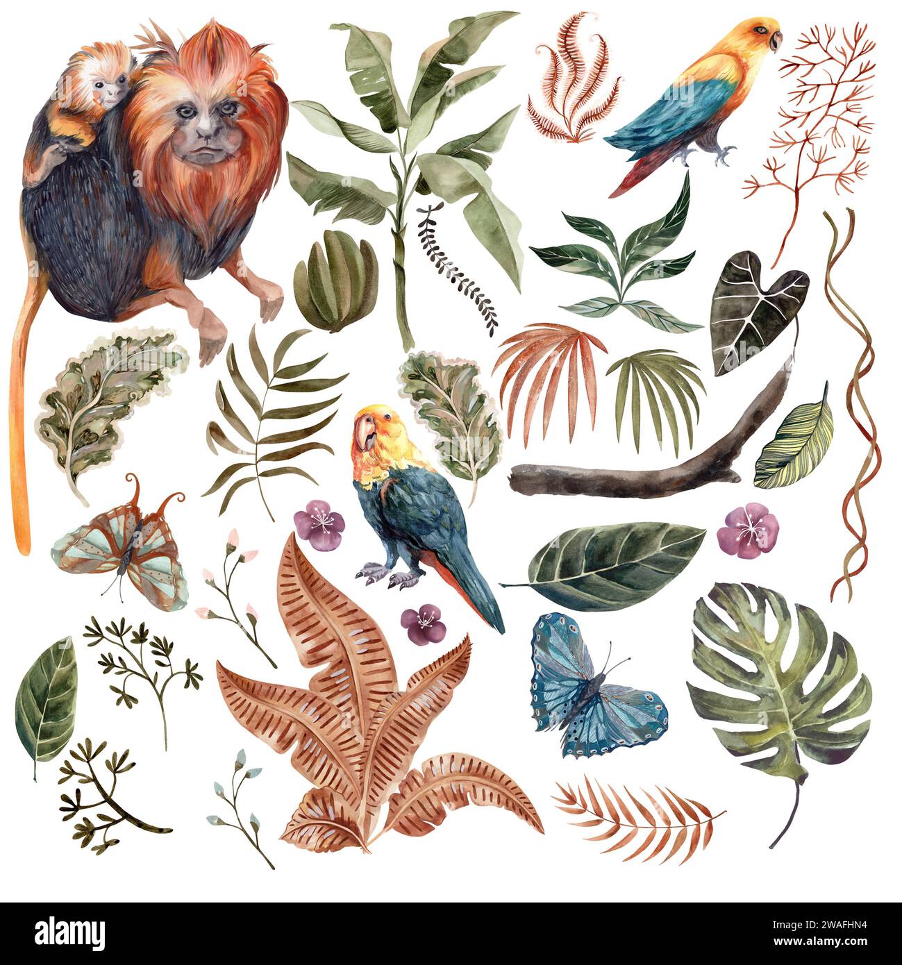 Splendido e grande acquerello con foglie tropicali, pappagalli e scimmie su sfondo bianco. Disegni con toni disattivati. Disegno per la progettazione di sou Foto Stock