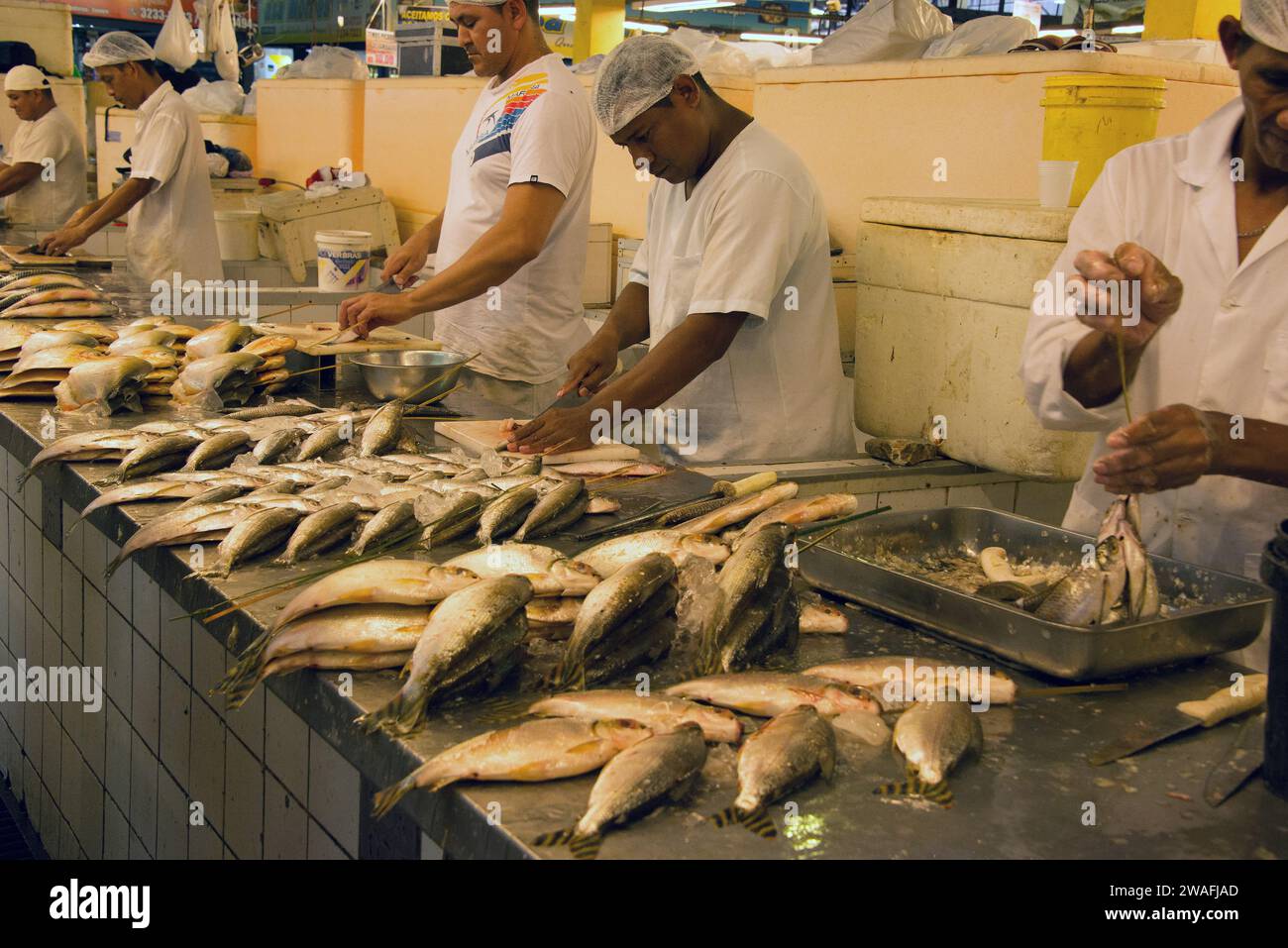 Mercato di Manaus, vendita di pesce. Brasile Foto Stock