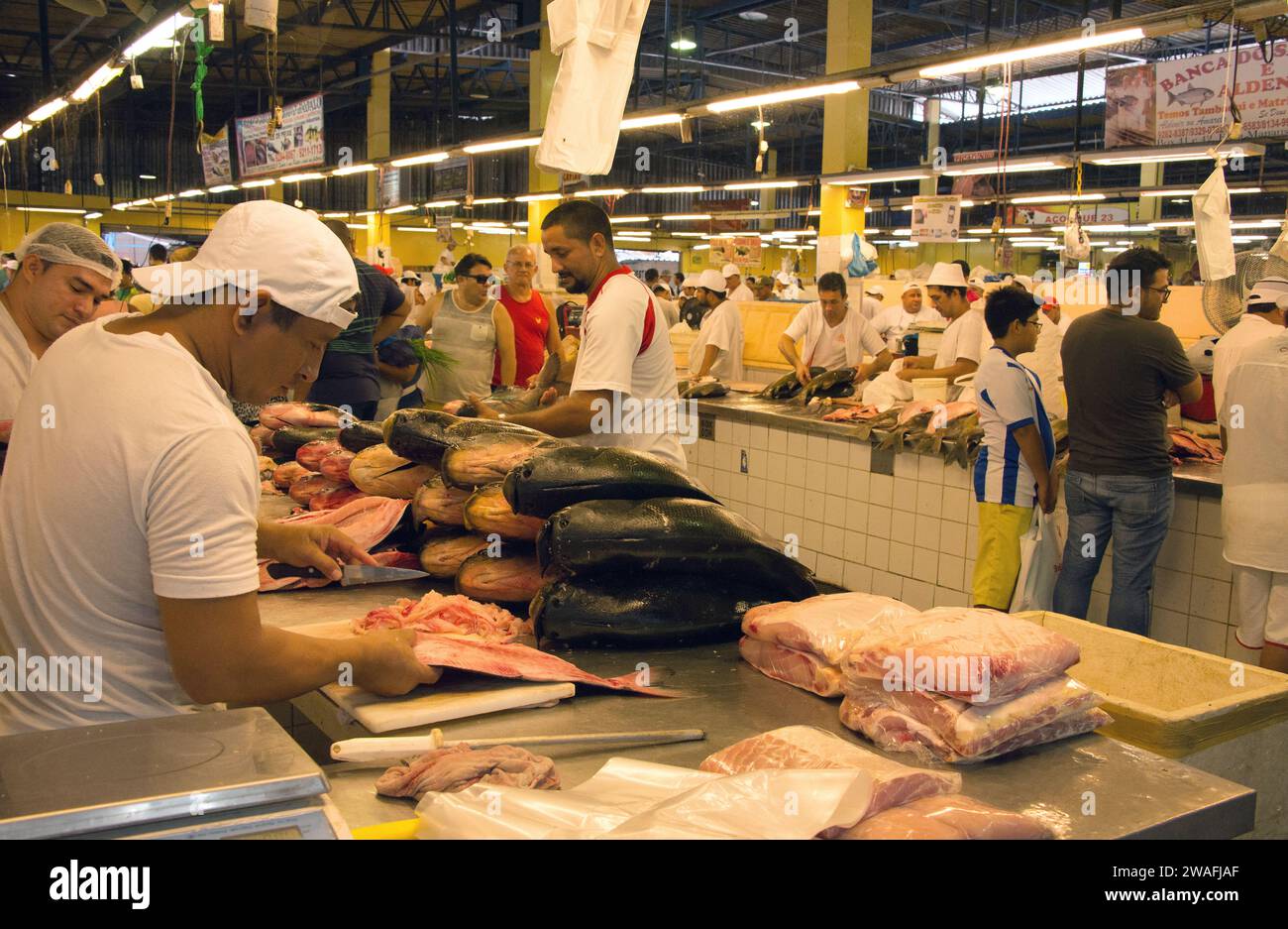 Mercato di Manaus, vendita di pesce. Brasile Foto Stock