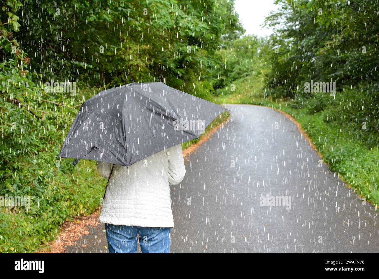 Persone sotto la pioggia con ombrelloni mentre camminano su un sentiero nella natura verde Foto Stock