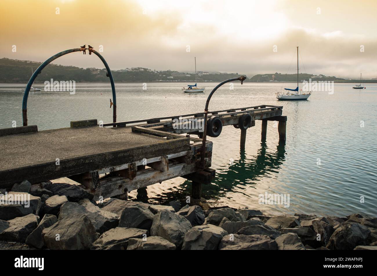 Un piccolo molo per barche che si apre a Evans Bay, Wellington, nuova Zelanda Foto Stock