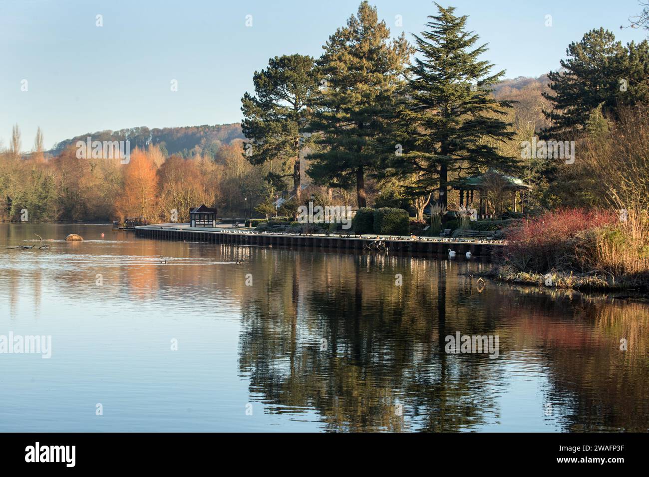 Belper River Gardens in autunno, osservati attraverso il fiume Derwent, Belper, Derbyshire, Inghilterra Foto Stock