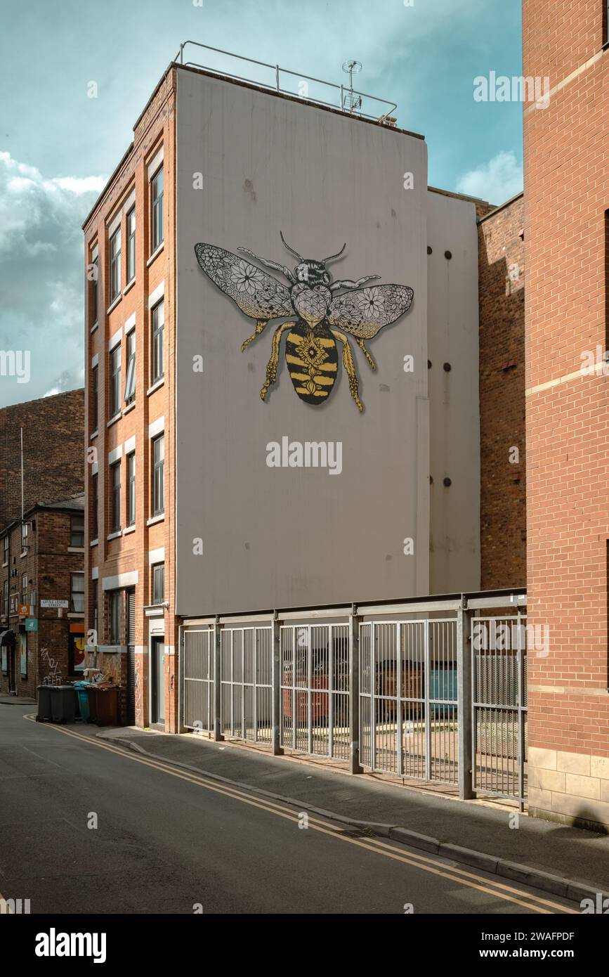 Un murale di un'ape operaia aggiunge un tocco artistico di colore al lato di un edificio nel quartiere settentrionale di Manchester. Foto Stock