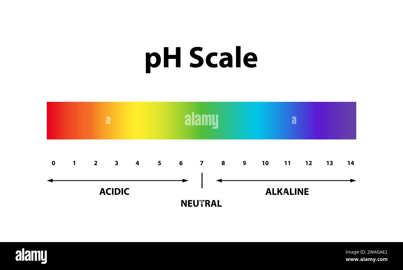 Valore del diagramma indicatore grafico della scala quantitativa del livello di pH. Soluzione alcalina, neutra, acida. Illustrazione Vettoriale