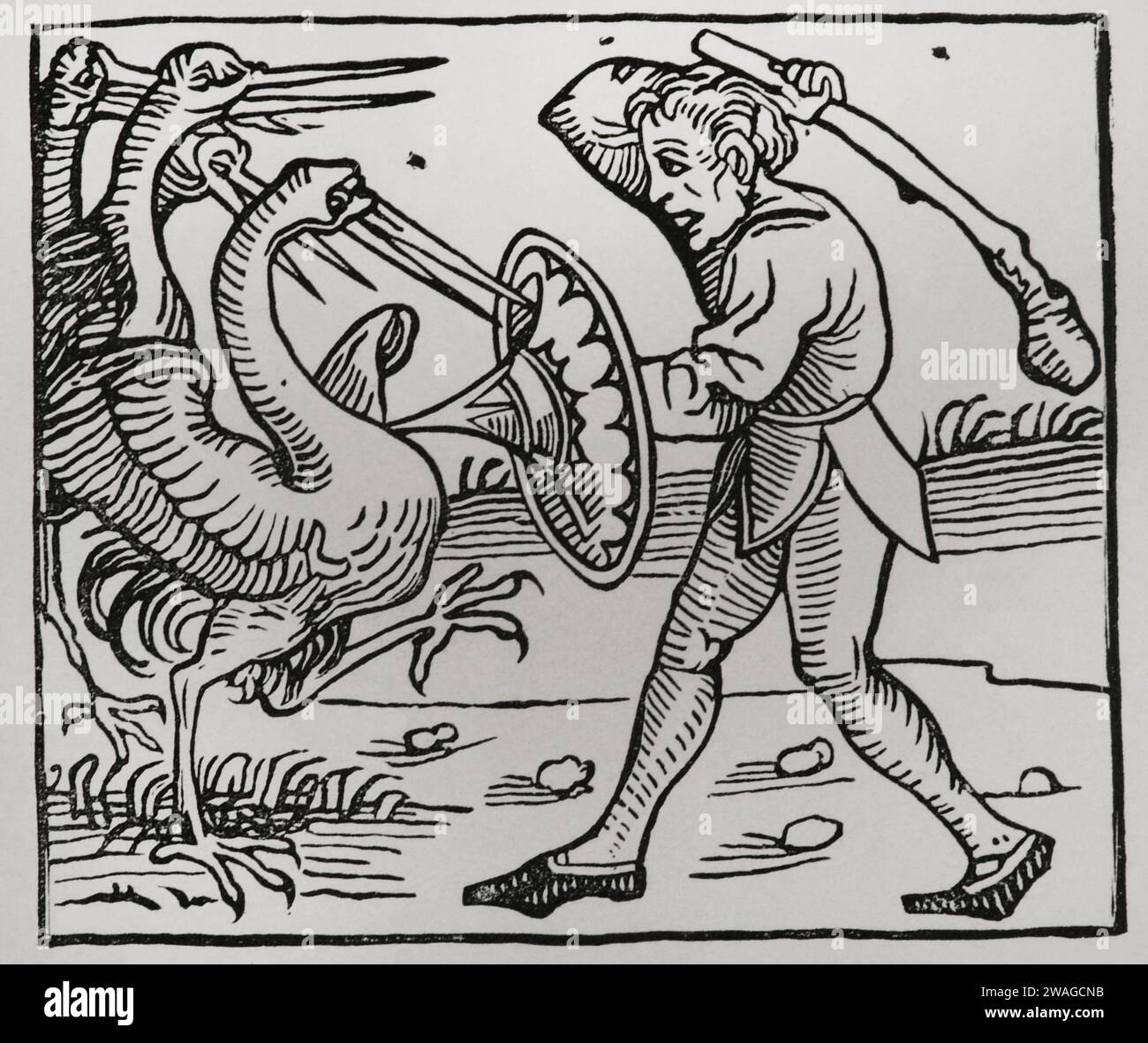 Mostri nati dal Diluvio. Dopo l'incisione del legno nella "Chronique de Norimberga", stampata nel 1493. Sciences & Lettres au Moyen Age et à l'époque de la Renaissance. Parigi, 1877. Foto Stock