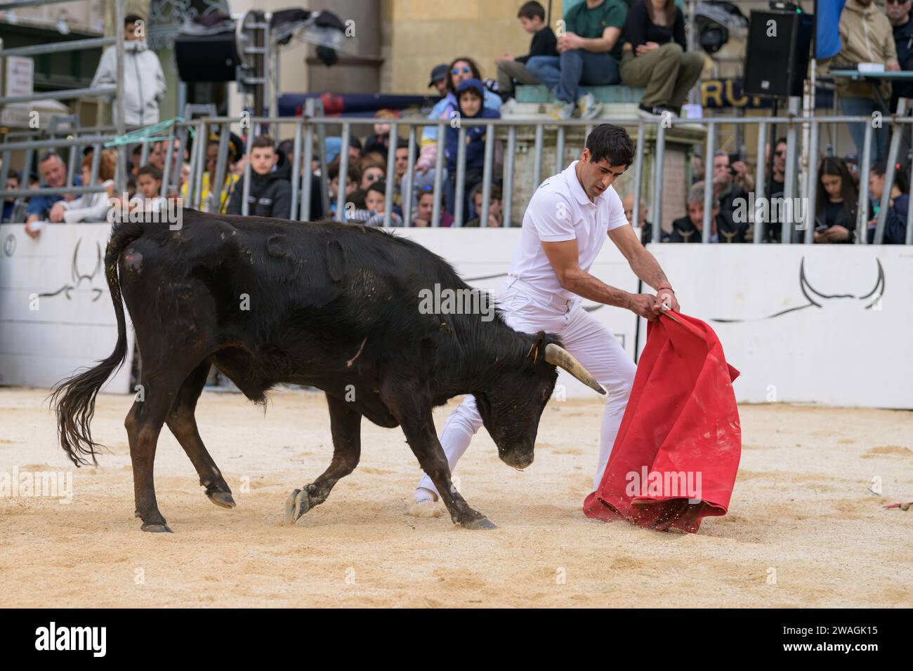 Arles, Francia - 11 marzo 2023: Lotta al toro al Capea du Forum, un tradizionale evento gratuito organizzato dalla Scuola Taurine d'Arles Foto Stock