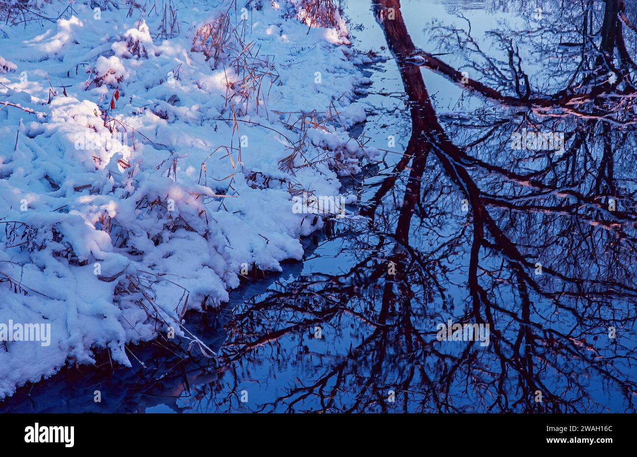 Un albero che sovrasta un torrente ha fatto cadere gran parte del suo carico di neve, ma non tutti e le consistenze di quella neve e i riflessi dell'albero nell'acqua m Foto Stock