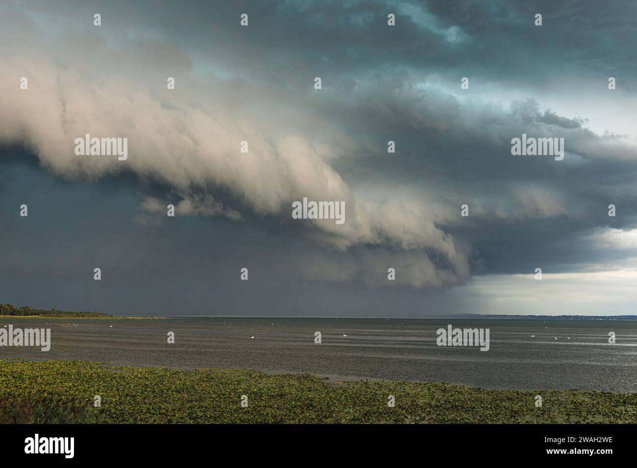 Fronte di tempesta con forte pioggia localizzata e venti da raffica che attraversano il lago Chiemsee, Germania, Baviera, lago Chiemsee Foto Stock