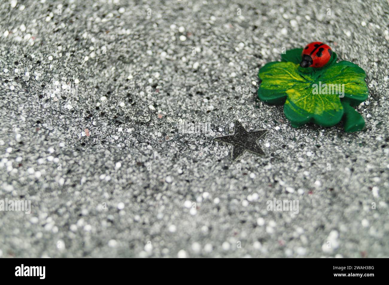 Scarabeo fortunato e trifoglio fortunato con stella per Capodanno Foto Stock