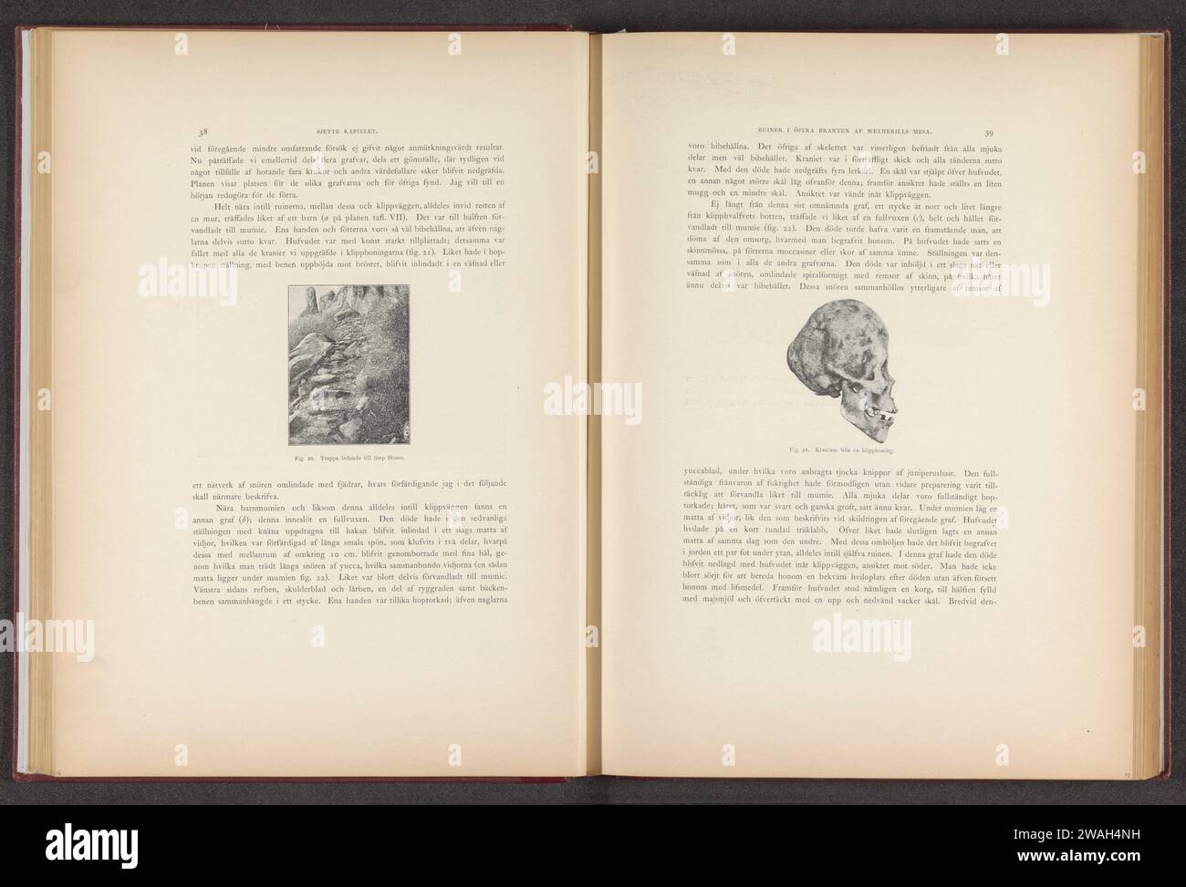 Cranio trovato in una casa di roccia nel Parco Nazionale di Mesa Verde, c. 1891 - in o prima del 1893 stampa fotomeccanica Mesa Verde National ParkVienna teschio di carta (umano) Parco Nazionale di Mesa Verde Foto Stock