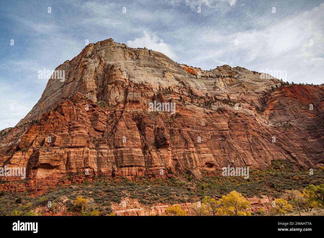 Zion Canyon alla base dell'Angel's Landing in autunno, con alberi che cambiano e sole allo Zion National Park, Utah. Foto Stock