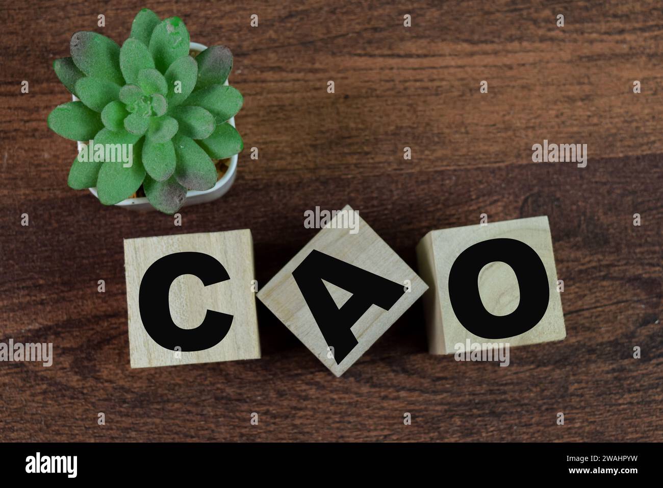 Concetto di cubi di legno con la parola CAO su sfondo di legno. Foto Stock