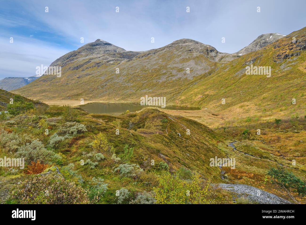 Vista della valle Valldalen, del Parco Nazionale di Reinheimen, del lago e della montagna, altro og Romsdal, Norvegia Foto Stock