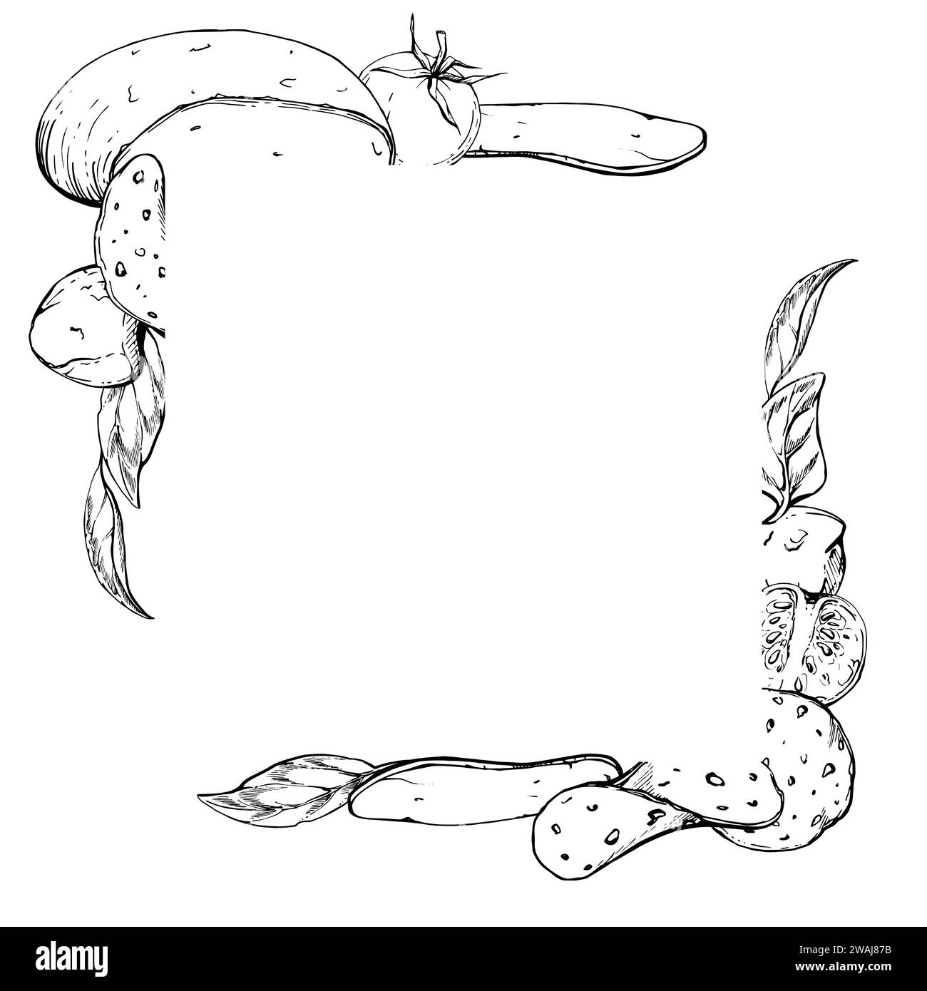 Illustrazione a inchiostro vettoriale disegnata a mano. Ingredienti per la pizza: Mozzarella, peperoni, pomodoro, basilico, erbe aromatiche. Telaio quadrato isolato su bianco. Ristorante di design Illustrazione Vettoriale