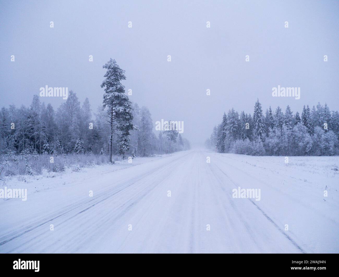 Strada nella foresta invernale nella lapponia svedese Foto Stock