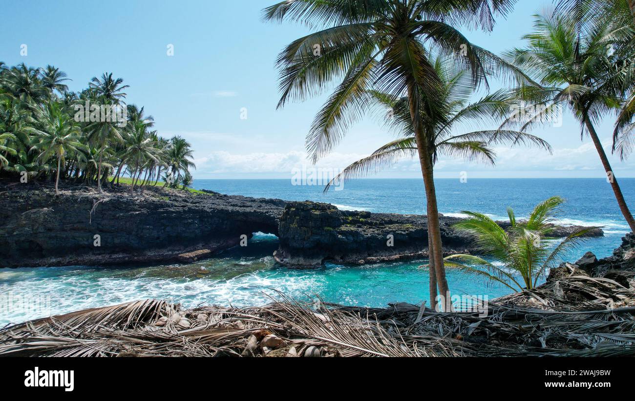 Una vista panoramica di una scogliera rocciosa con lussureggianti palme al limitare di un oceano tropicale Foto Stock