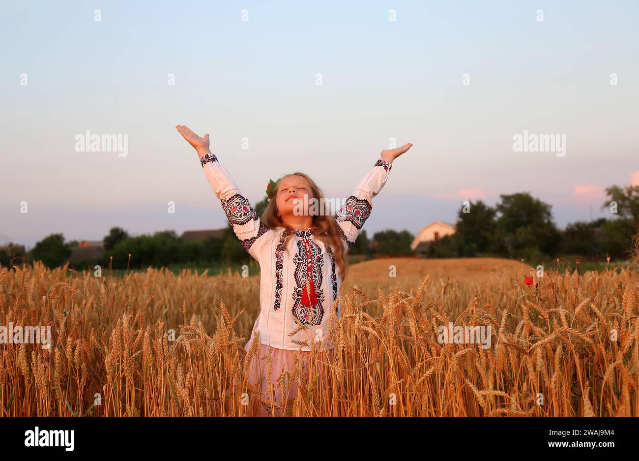 Bella ragazza che indossa vyshyvanka in un campo di grano che festeggia il tramonto. Giorno dell'indipendenza dell'Ucraina Foto Stock