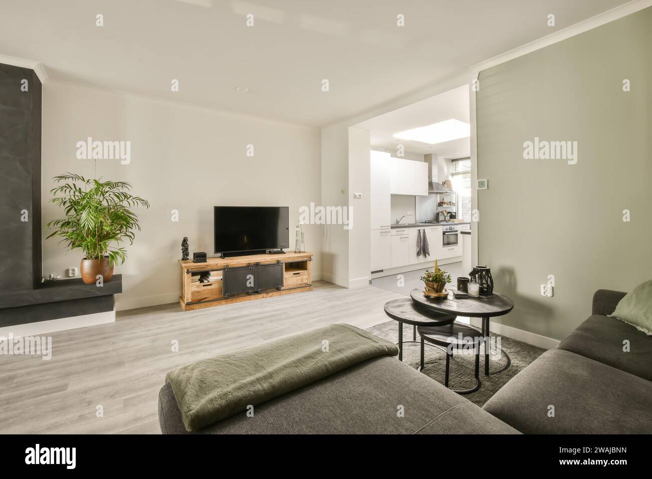 Divano grigio con tavolino da caffè posto davanti alla televisione con piante da casa in un soggiorno spazioso e moderno Foto Stock